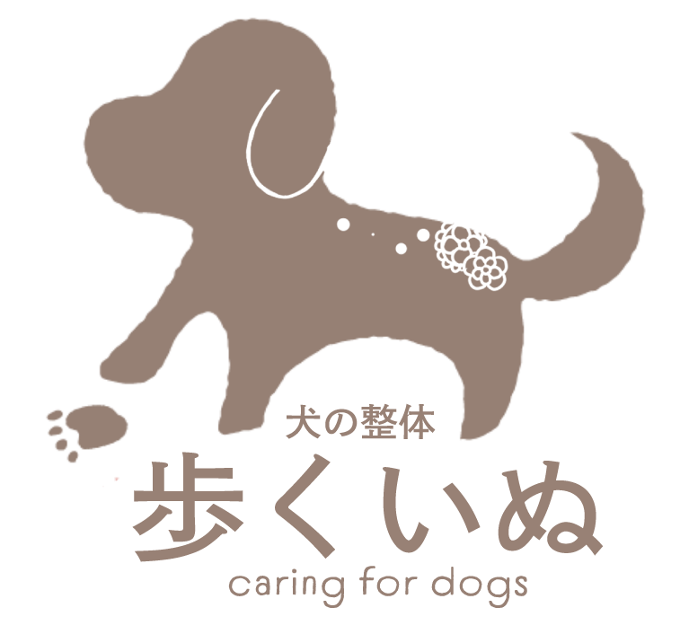 神戸の犬整体とケア【歩くいぬ】